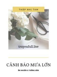 Cảnh Báo Mưa Lớn – Thập Nhị Tam