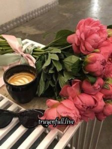 Đóa Hoa Hồng Cuối Cùng – Xuân Nhật Ức Nhạc