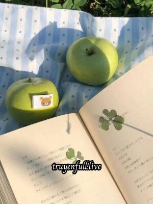 Gặp Được Anh Tại Thời Gian Tươi Đẹp Nhất