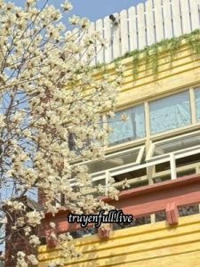 Hóa Ra Nam Thần Cũng Thích Tôi!