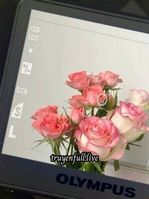 Khoảng Cách Gần Nhất Của Trái Tim