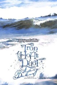 Trốn Thoát Dưới Đáy Biển – Đả Kết