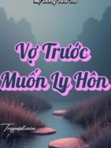 Vợ Trước Muốn Ly Hôn – Mộ Đồng Tiểu Thi